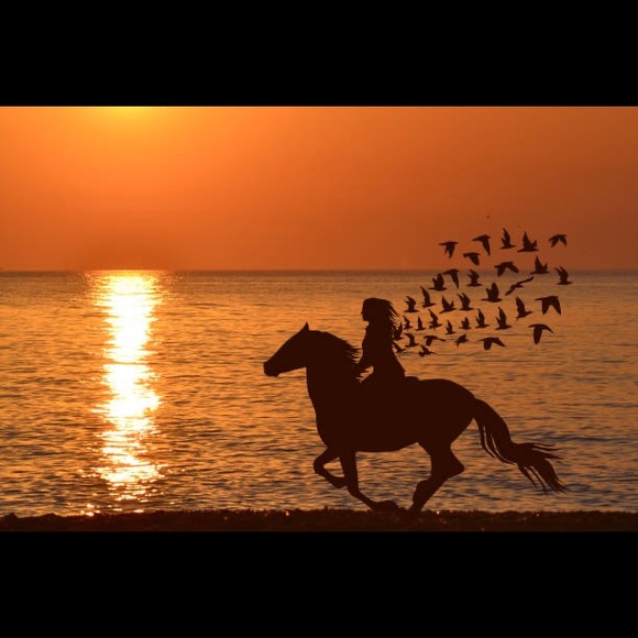 Meet your Posher, Kelsey - Picture 1 of 13